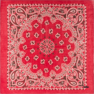 Écharpe SILK & CASHMERE en rouge : devant