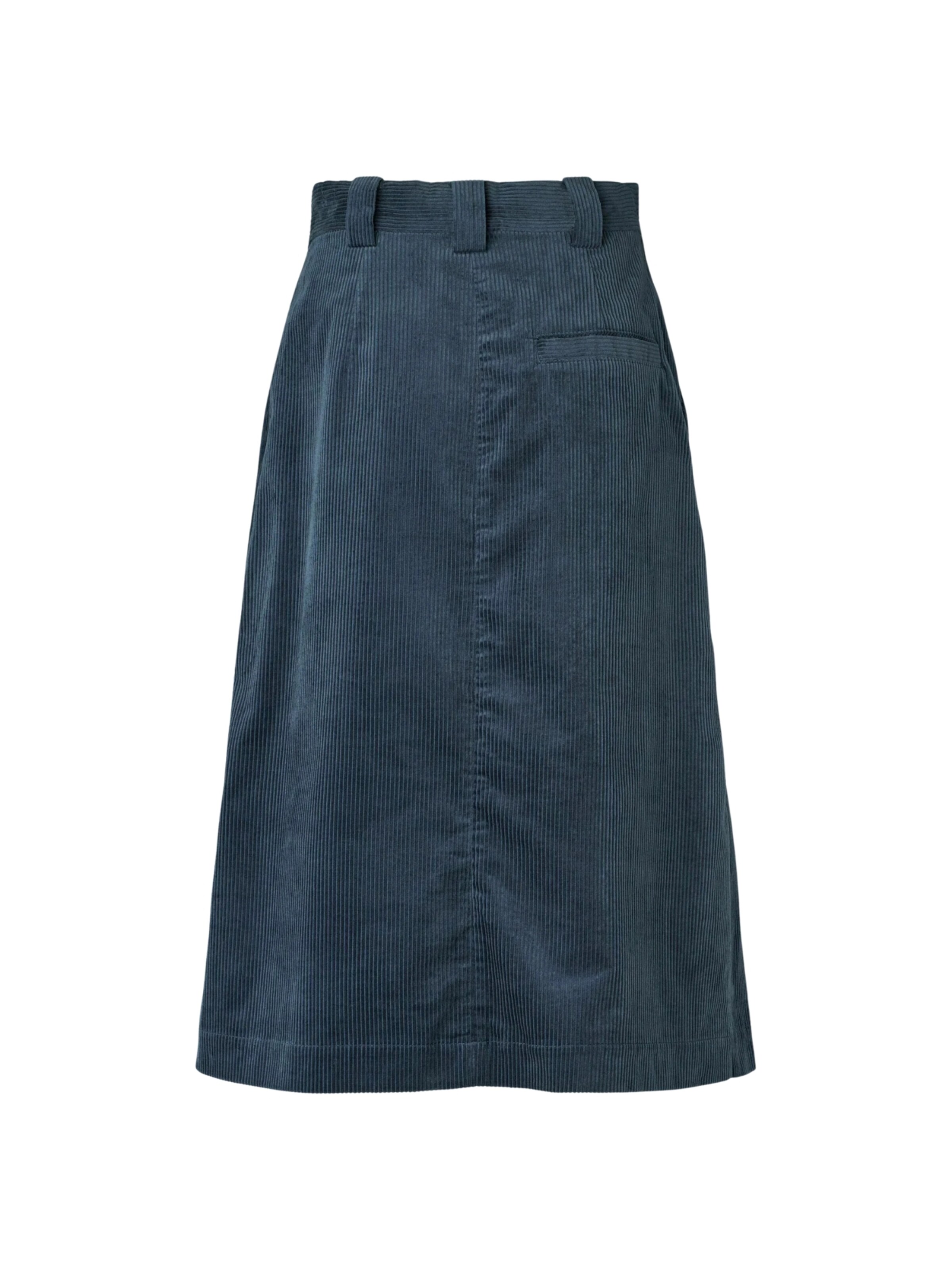 Noa Noa Skirt ' TrineNN ' in Blau