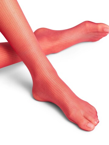 FALKE Strumpfhose 'Body Chain'‌‌‌‌‌‌‌ in Rot