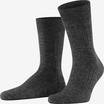 FALKE Socken 'Teppich im Schuh' in Grau: Vorderseite