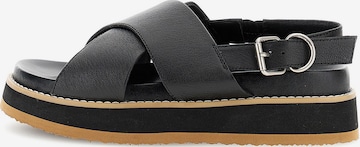 Sandalo di CAFè NOIR in nero: frontale