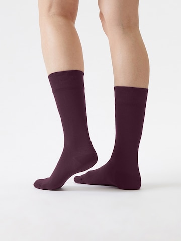 Von Jungfeld Socks 'SIGNATURE Set' in Red: front