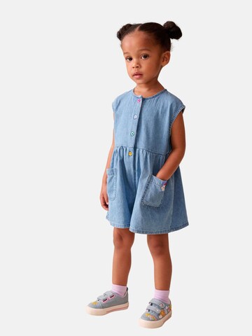 Next Overall in Blue: front