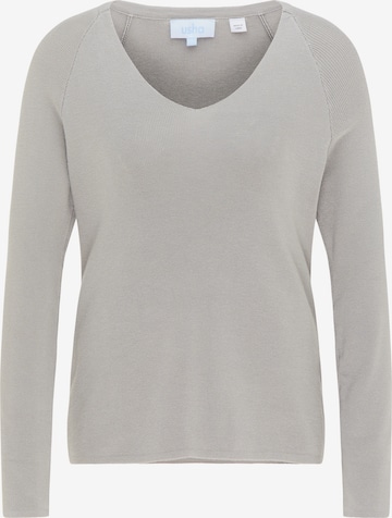 Pull-over usha BLUE LABEL en gris : devant