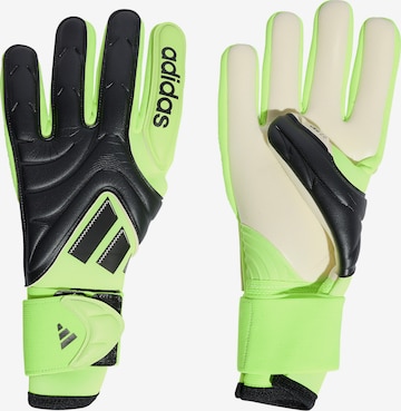 ADIDAS PERFORMANCE Sporthandschoenen 'Copa Pro' in Zwart: voorkant