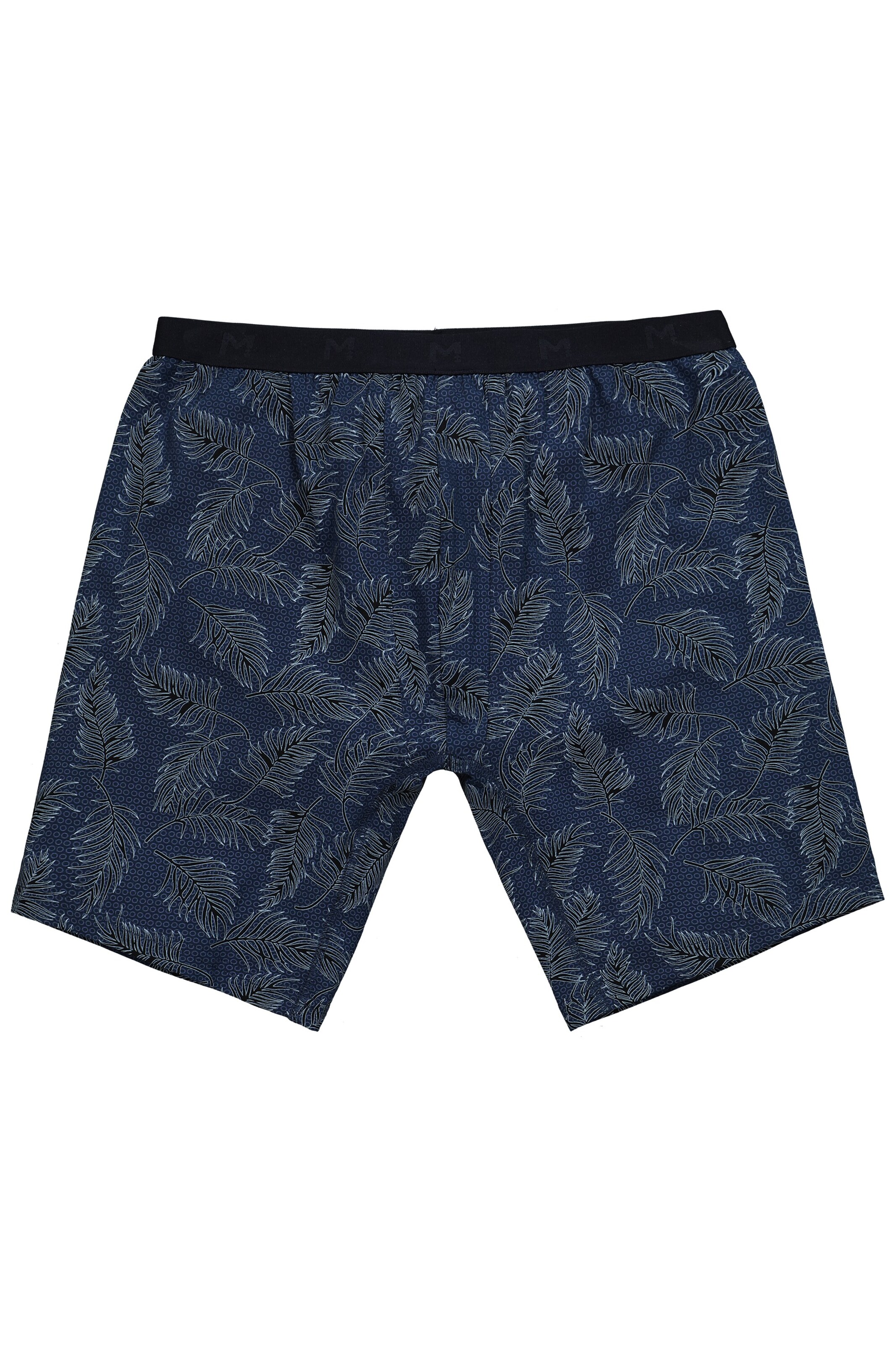 Men Plus Boxer shorts in Blue: front