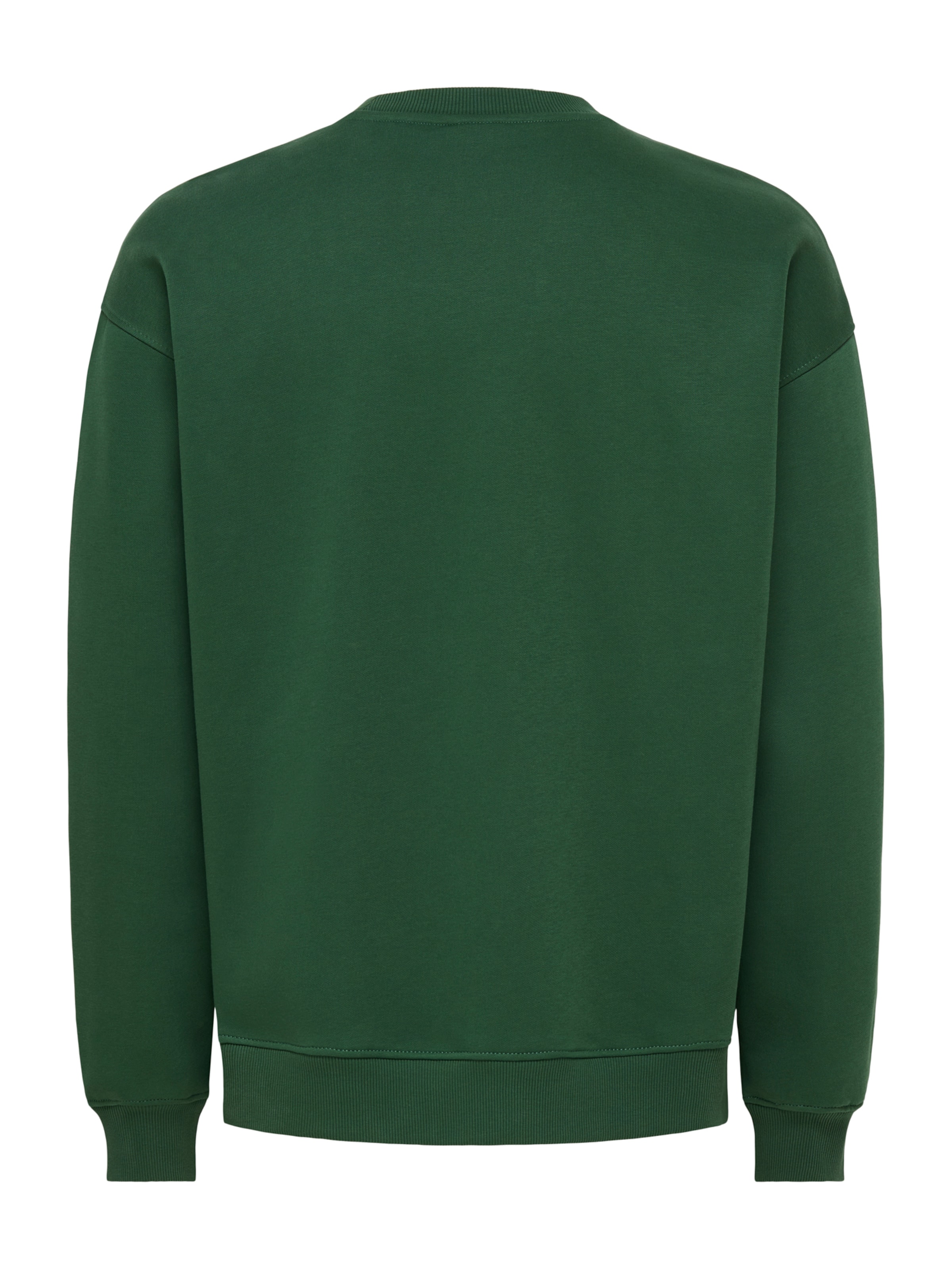 Only & Sons Sweatshirt 'ONSCONNOR' in Green