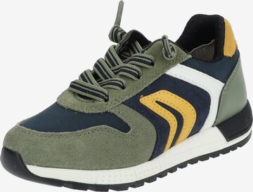 Sneaker di GEOX in verde: frontale