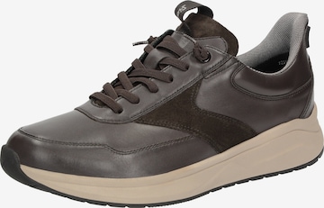 SIOUX Sneakers laag ' Tasulio-703-J ' in Bruin: voorkant