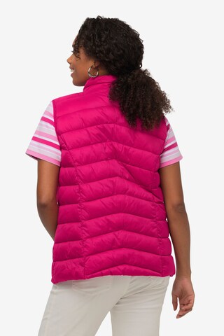 Gilet Ulla Popken en rose