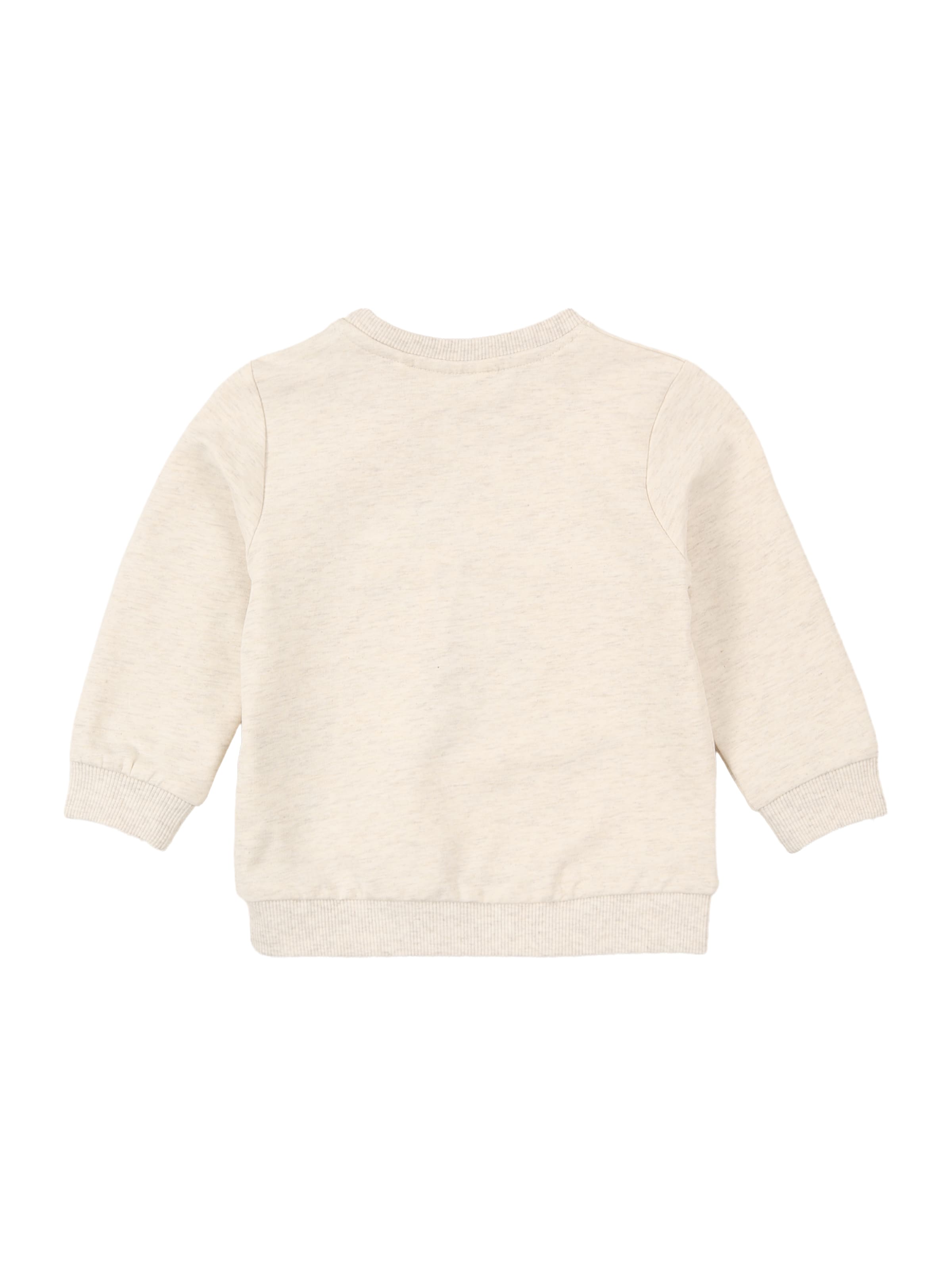 NAME IT Sweatshirt 'NBMKNOP' i grå