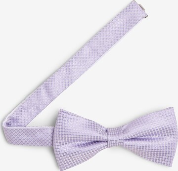 OLYMP Bow Tie in Purple