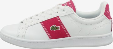 Baskets basses LACOSTE en blanc