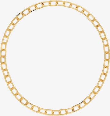 P D PAOLA Necklace in Gold: front