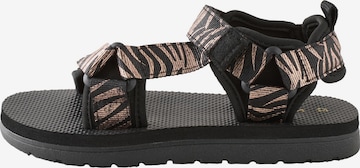 Next Sandal in Black: front