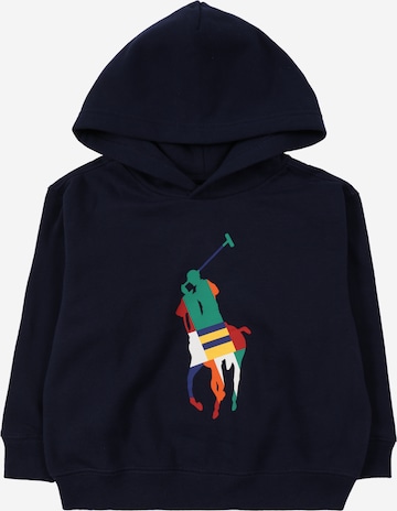 Polo Ralph Lauren Sweatshirt in Blue: front