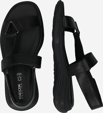 GEOX Sandals 'Spherica' in Black