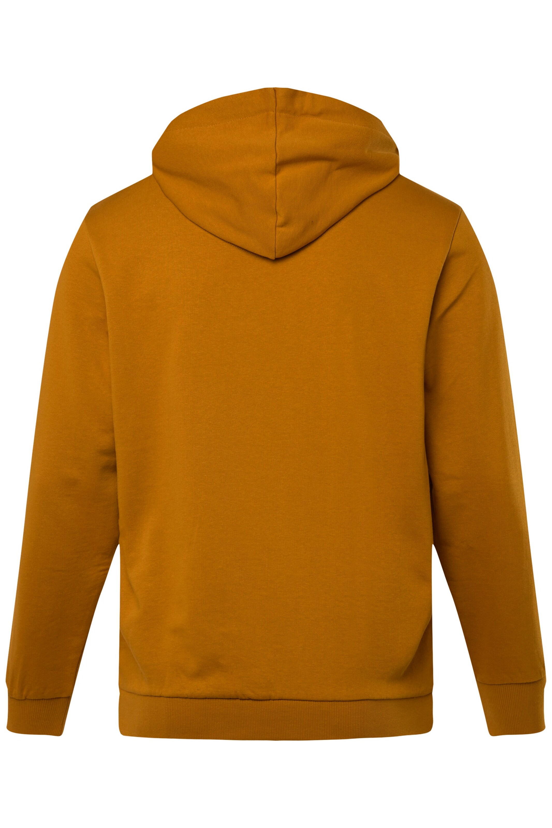 Men Plus Sweatshirt in Orange