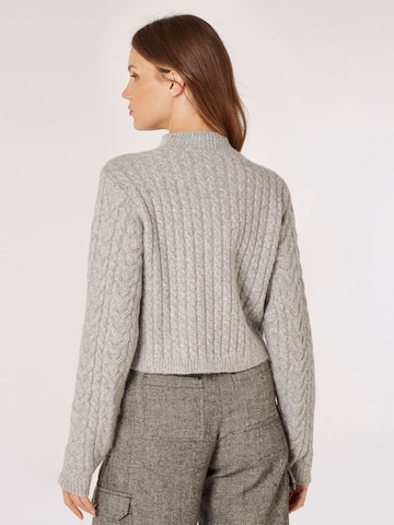 Apricot Sweater in Grey