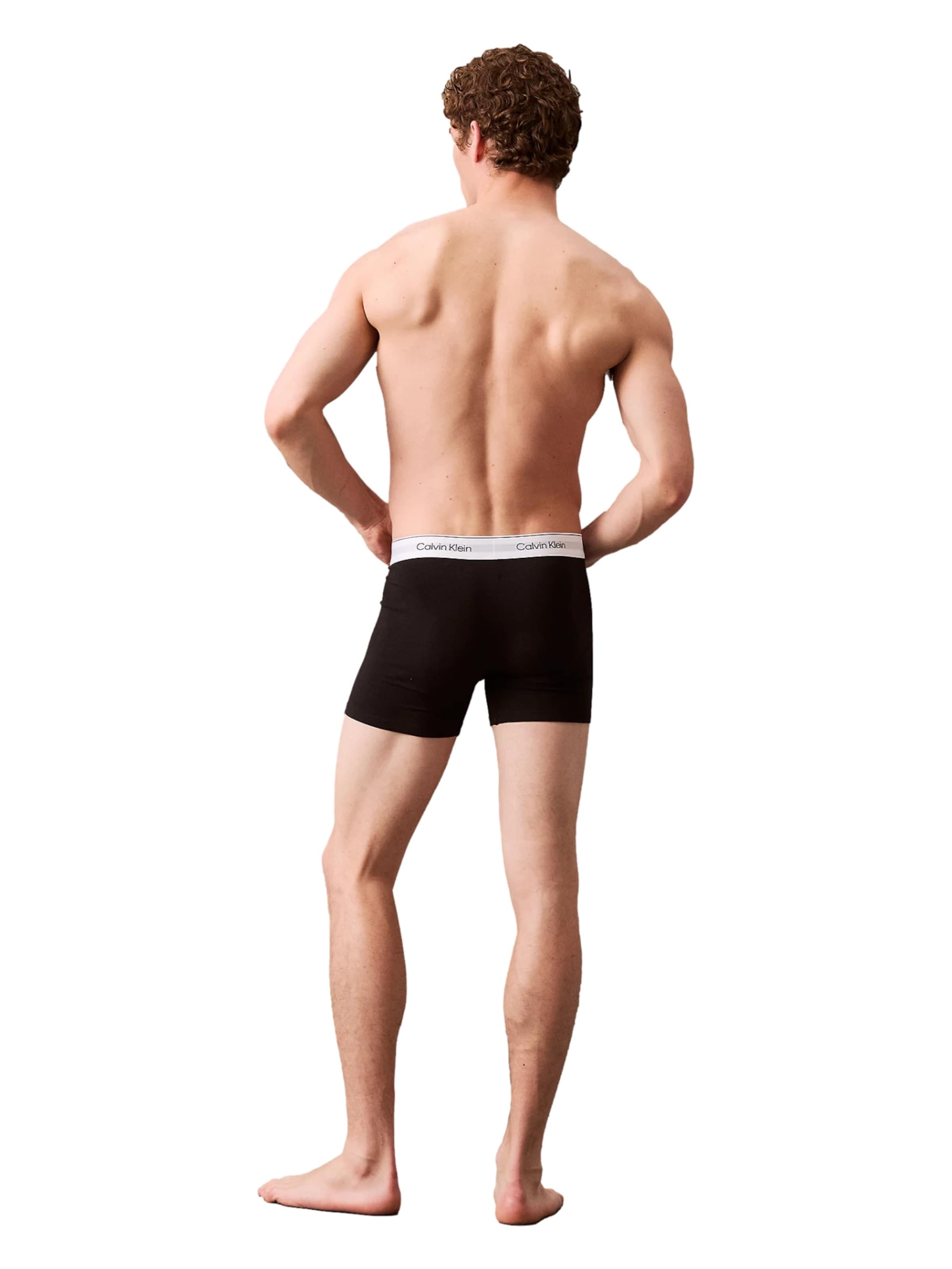mišri Calvin Klein Underwear Boxer trumpikės