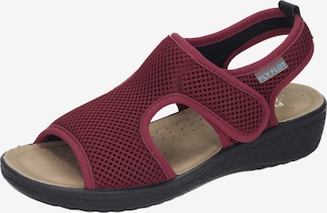 FLY FLOT Sandals in Red: front