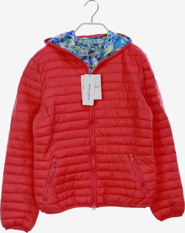 MONTE CERVINO Jacket & Coat in XL in Pink: front