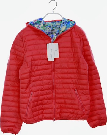 MONTE CERVINO Steppjacke XL in Pink: predná strana