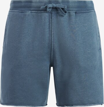 PROTEST Regular Pants 'PRTGalvan' in Blue: front