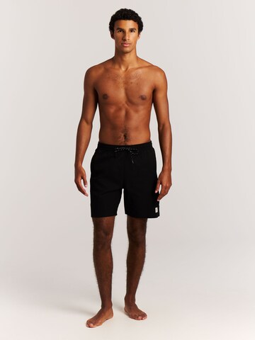 PROTEST Board Shorts 'PRTBAKY' in Black