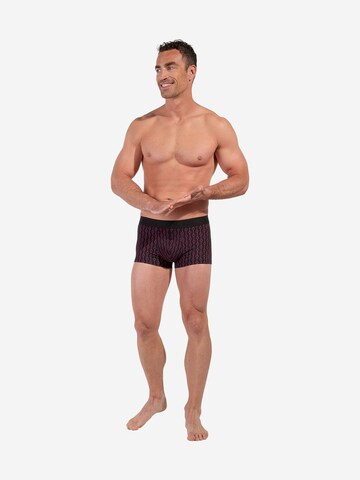 HOM Boxer shorts ' Dunes ' in Blue