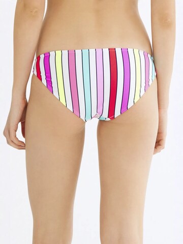 Penti Dół bikini w kolorze mieszane kolory