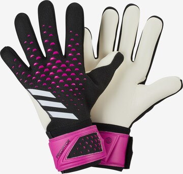 Gants de sport 'Predator League' ADIDAS PERFORMANCE en mélange de couleurs : devant