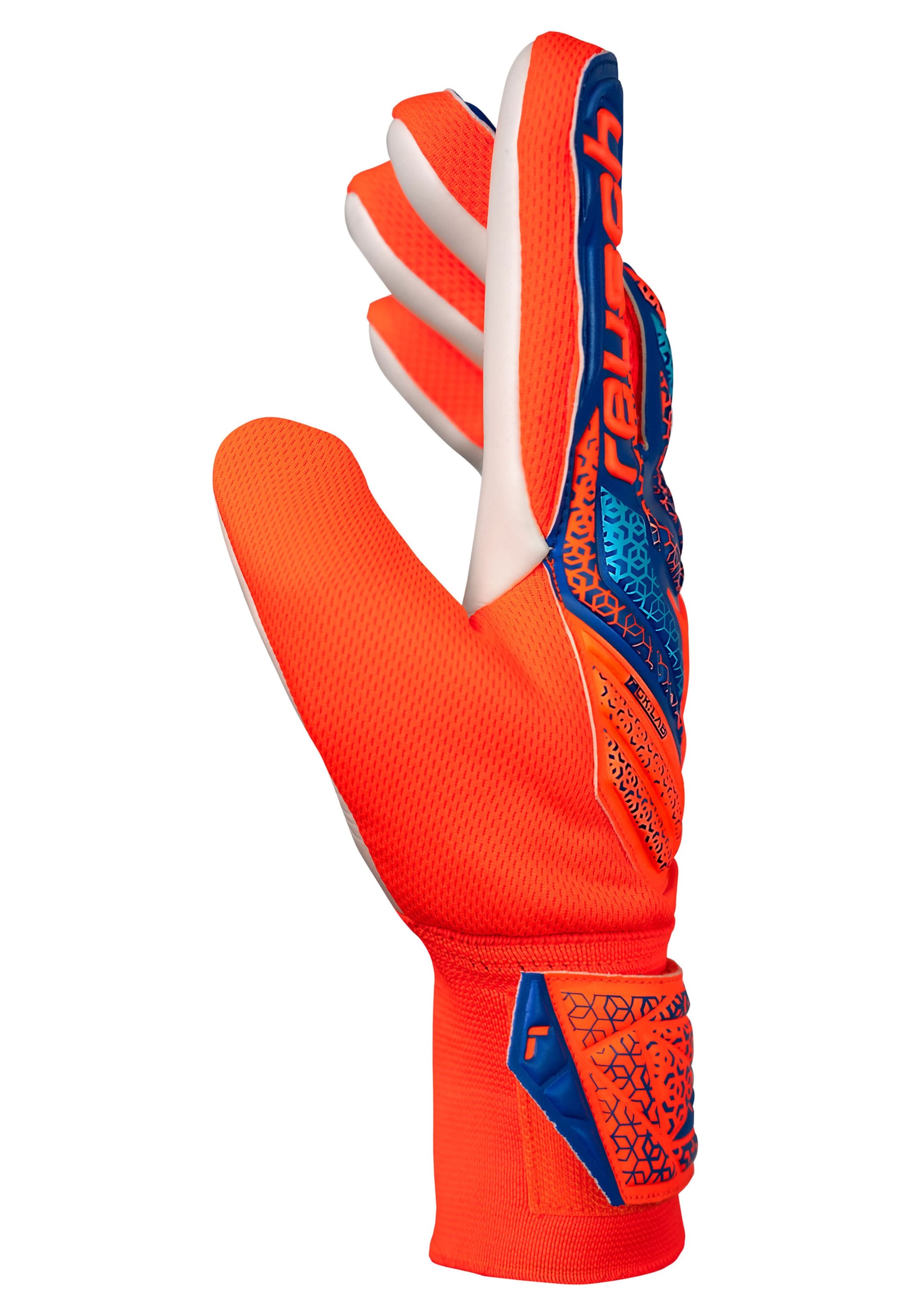 REUSCH Sporthandschoenen 'Attrakt Starter Solid' in Blauw