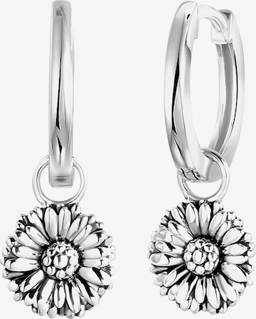 Boucles d'oreilles Lucardi en argent : devant