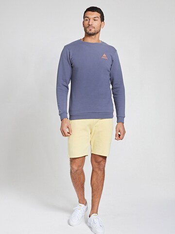 Shiwi Sweatshirt in Grau