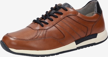 SIOUX Sneakers 'Rojaro' in Brown: front