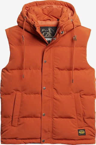 Gilet Superdry en orange : devant