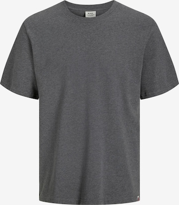 Maglietta di R.D.D. ROYAL DENIM DIVISION in grigio: frontale