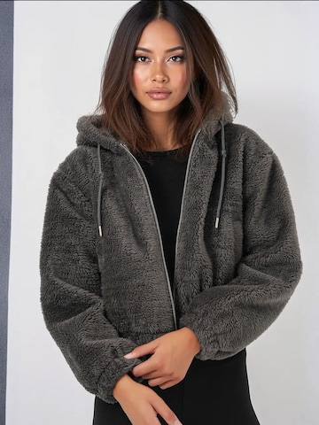 Veste mi-saison Bigdart en gris