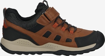 GEOX Sneakers in Brown