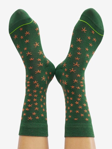 CHEERIO* Socks 'LALA HEAVEN' in Green: back