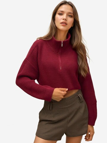 Hiccup Trui 'Pullover' in Rood