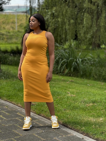 Mowi Fit Dress in Yellow