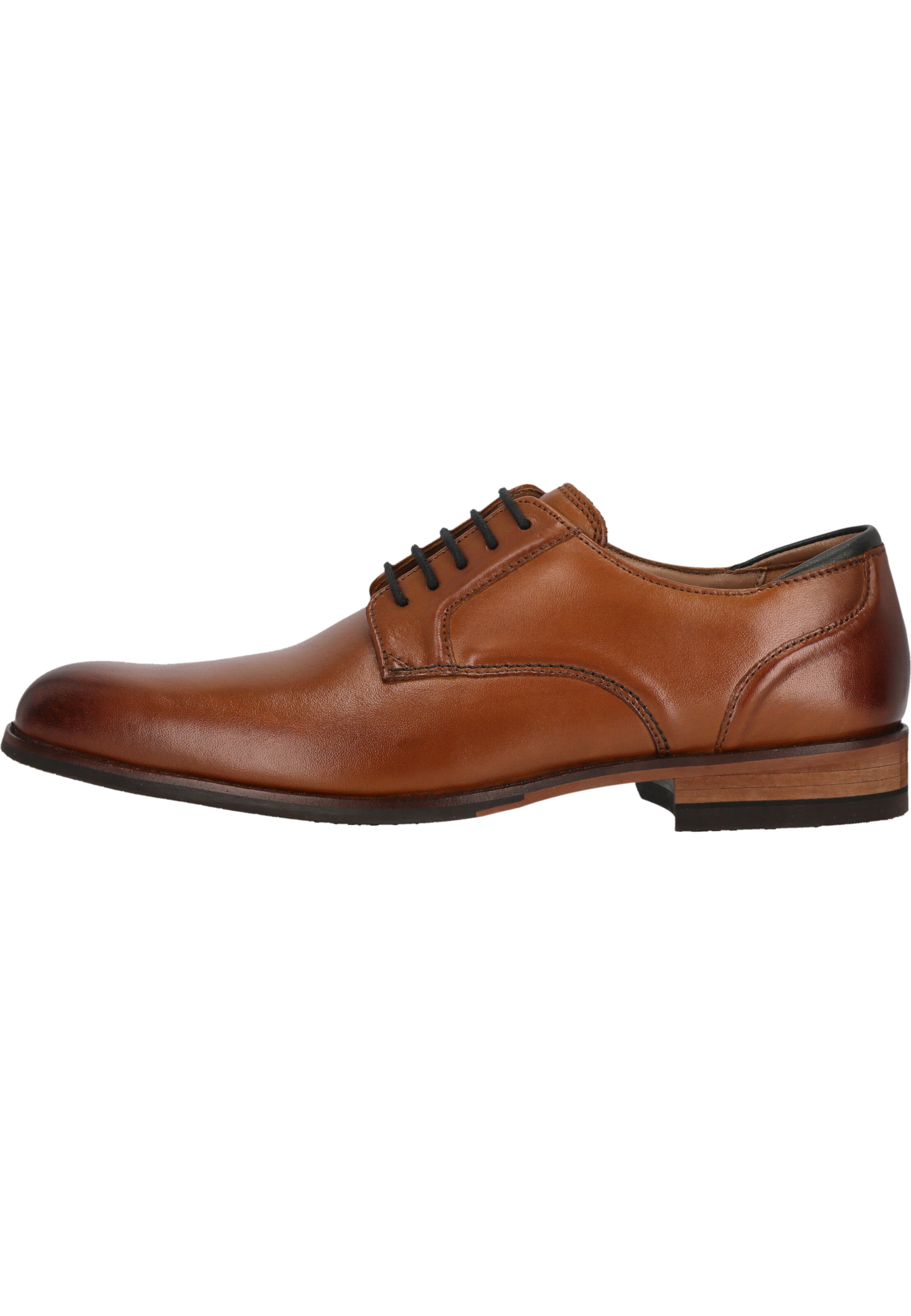 CLARKS Lace-up shoe 'CraftArlo' in Brown