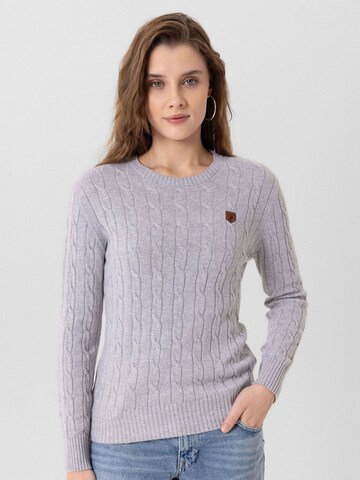 Jacey Quinn - Jersey 'Emelia' en gris