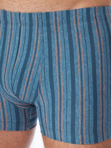 SCHIESSER Boxer shorts 'Essentials' in Mixed colours