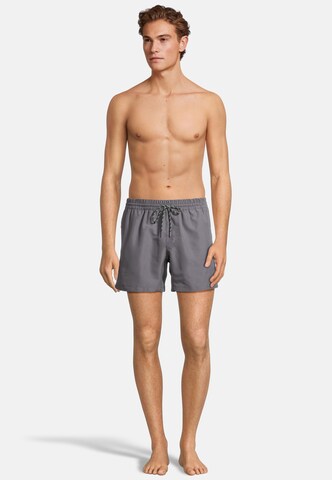BECO the world of aquasports Swimming shorts 'Nature Vibes' in Grey