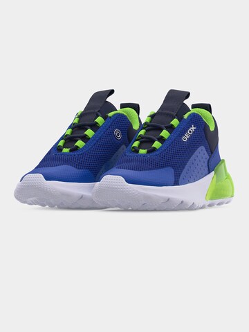 Sneaker 'Activart Illuminus' de la GEOX pe albastru
