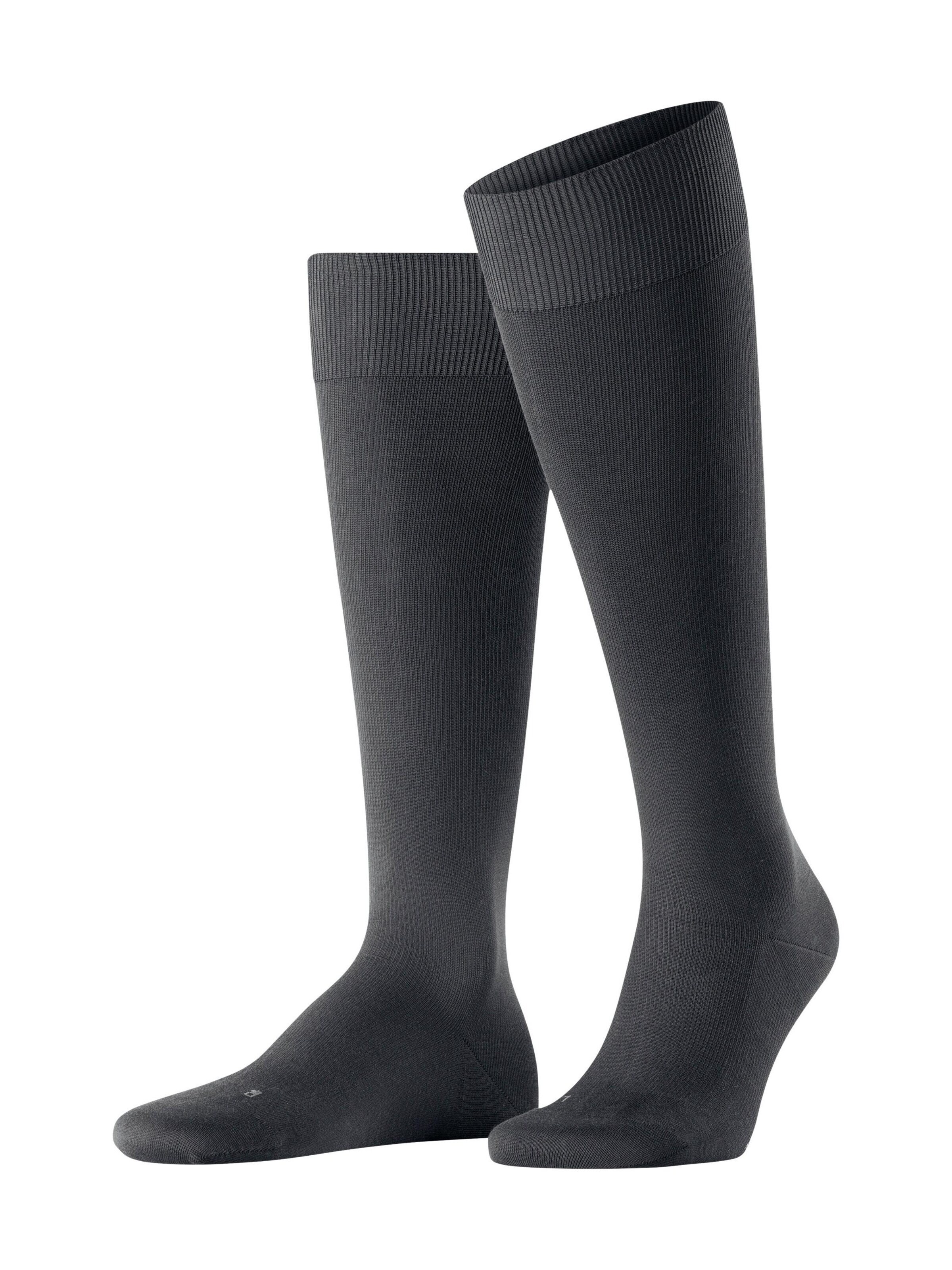 FALKE Knee High Socks 'Energizing Cotton' in Grey: front