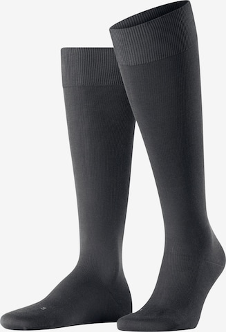 FALKE Knee High Socks 'Energizing Cotton' in Grey: front